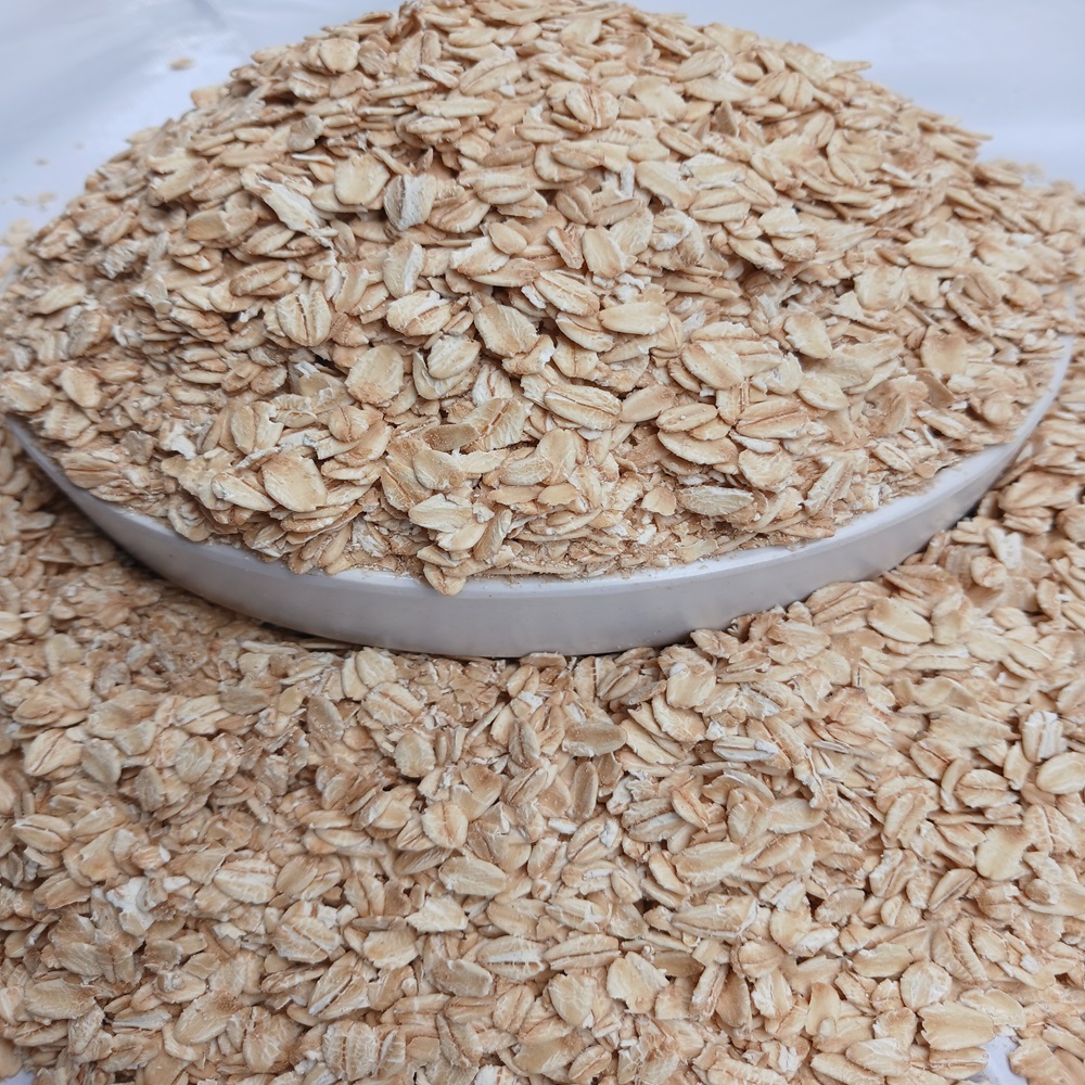 JP Rolled Oats – Premium Oat Flakes, 25kg, South America 